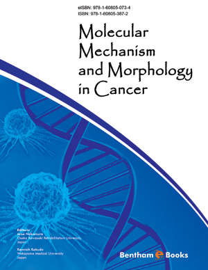 Molecular Mechanism and Morphology in Cancer